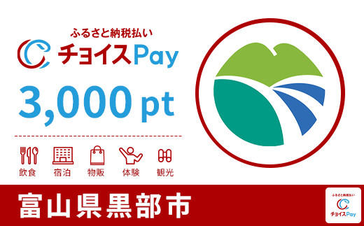
            黒部市チョイスPay 3,000pt【会員限定のお礼の品】
          