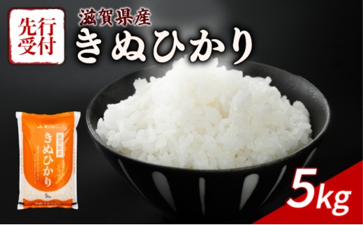 【令和8年産】 先行予約 新米 きぬひかり 5kg 令和8年産 米 精米 こめ コメ お米 ご飯 米 キヌヒカリ 5キロ 令和8年 滋賀 彦根 【近江米】