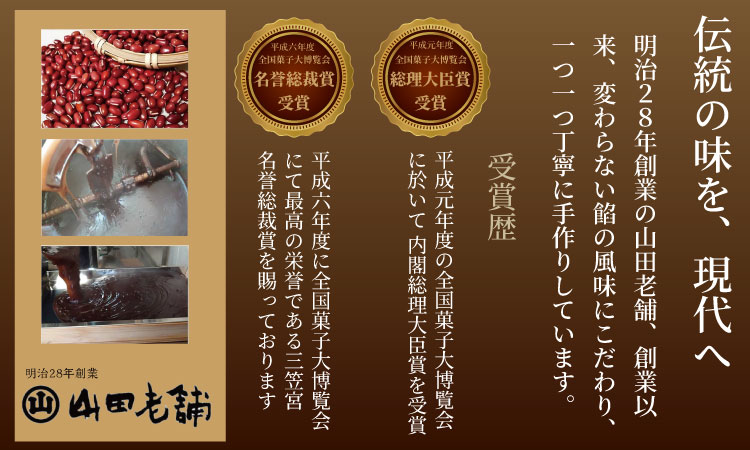 表面シャリシャリ 昔ながらの小城羊羹お試し12個入り 山田老舗 和菓子 詰め合わせ（小倉羊羹・抹茶羊羹） 切羊羹 お茶 ミニサイズ 一口サイズ 小分け スポーツ ゆうパケット便