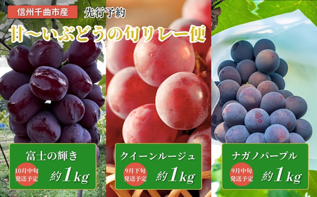 【2026年先行予約】皮ごと食べられる 信州育ち甘~いぶどうの旬リレー便（ナガノパープル、クイーンルージュ®、富士の輝き）｜ぶどう