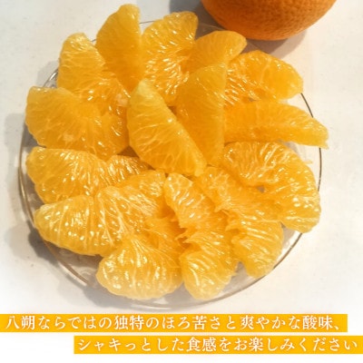 【先行予約】【ご家庭用(キズあり)】大三島産 八朔　約10kg【K003220M10】【1668590】