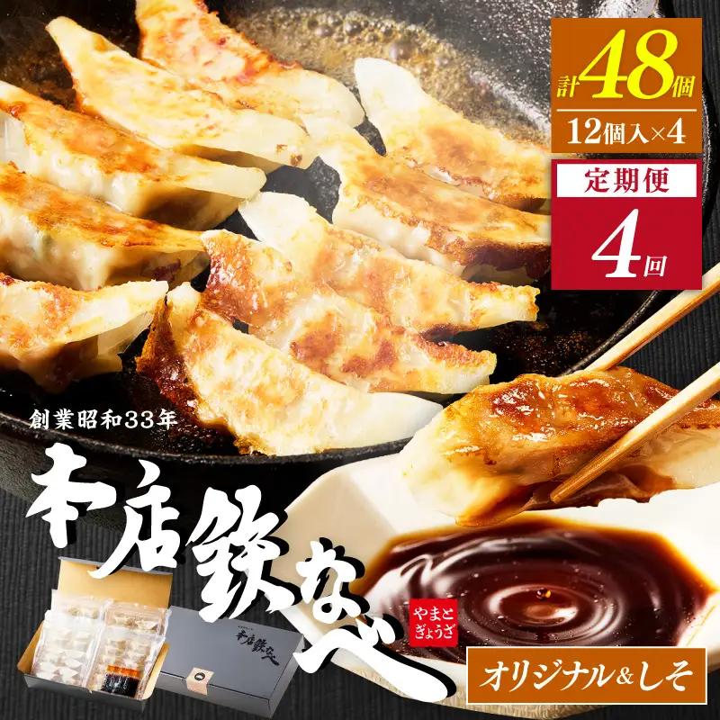 【4回定期便】本店鉄なべ冷凍ぎょうざと冷凍しそぎょうざ48個入り交互にお届け【040-0013】