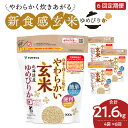 【ふるさと納税】米 玄米 定期便 6ヶ月 3.6kg 北海道産 ゆめぴりか 900g×4袋 白米と同じように炊ける やわらかい お米 安心安全なヤマトライス 栄養豊富 簡単 FSSC22000取得 弁当 おにぎり 食品 食べ物 常温 お取り寄せ 愛知県 碧南市 送料無料