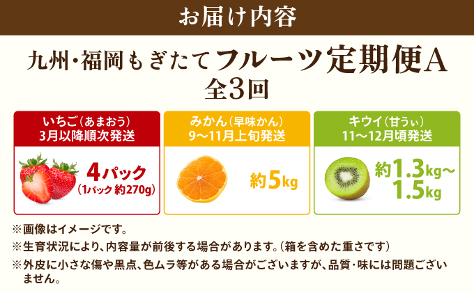  ＜定期便・全3回＞九州・福岡もぎたて フルーツ定期便 A|果物 旬 国産 産地直送 いちご イチゴ 苺 あまおう みかん 蜜柑ミカン 極早生みかん 早味かん キウイキウイ キウイフルーツ キウィフル