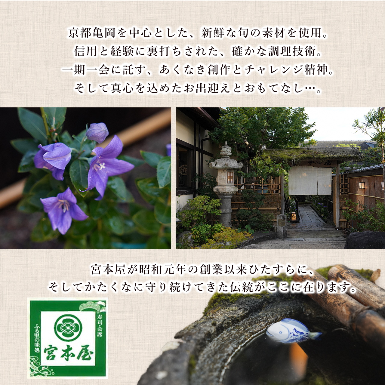 期間限定 鱧しゃぶセット 特上松茸入り 4～5人前（特製スープ・野菜付）＜丹波四季菜料理 宮本屋＞｜ハモ はも 松茸 特上松茸 ※2026年7月～発送