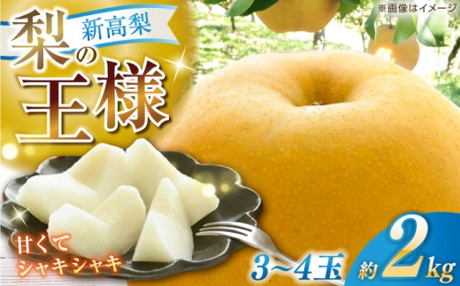 【先行予約】 新高梨 約2kg（3〜4玉） 〈2026年9月20日〜10月末発送〉 / 高知 針木 新高梨 梨 和梨 果物 フルーツ デザート 【川渕果樹園】 [ATHX001]
