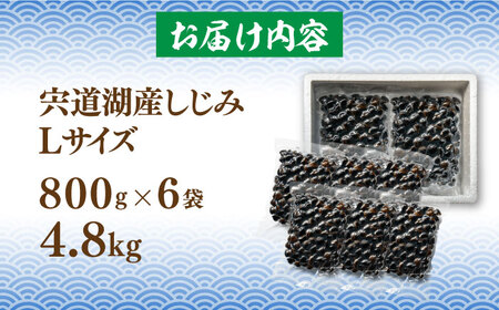 しじみ 砂抜き済 Lサイズ800g×6袋(4.8kg) 島根県松江市/しじみ市場株式会社[ALDK003] しじみ しじみ