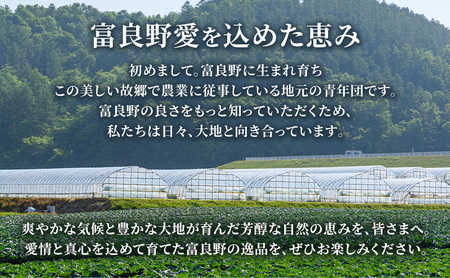 2026年秋発送【数量・期間限定】ふらの産 かぼちゃ10kg［くり大将］ 富良野 北海道 カボチャ 南瓜 甘い 野菜