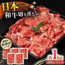 【ふるさと納税】長崎和牛 切り落とし肉 1kg / 牛肉 切り落とし 切落し きりおとし すき焼き すきやき しゃぶしゃぶ 小分け / 大村市 / おおむら夢ファームシュシュ[ACAA142]