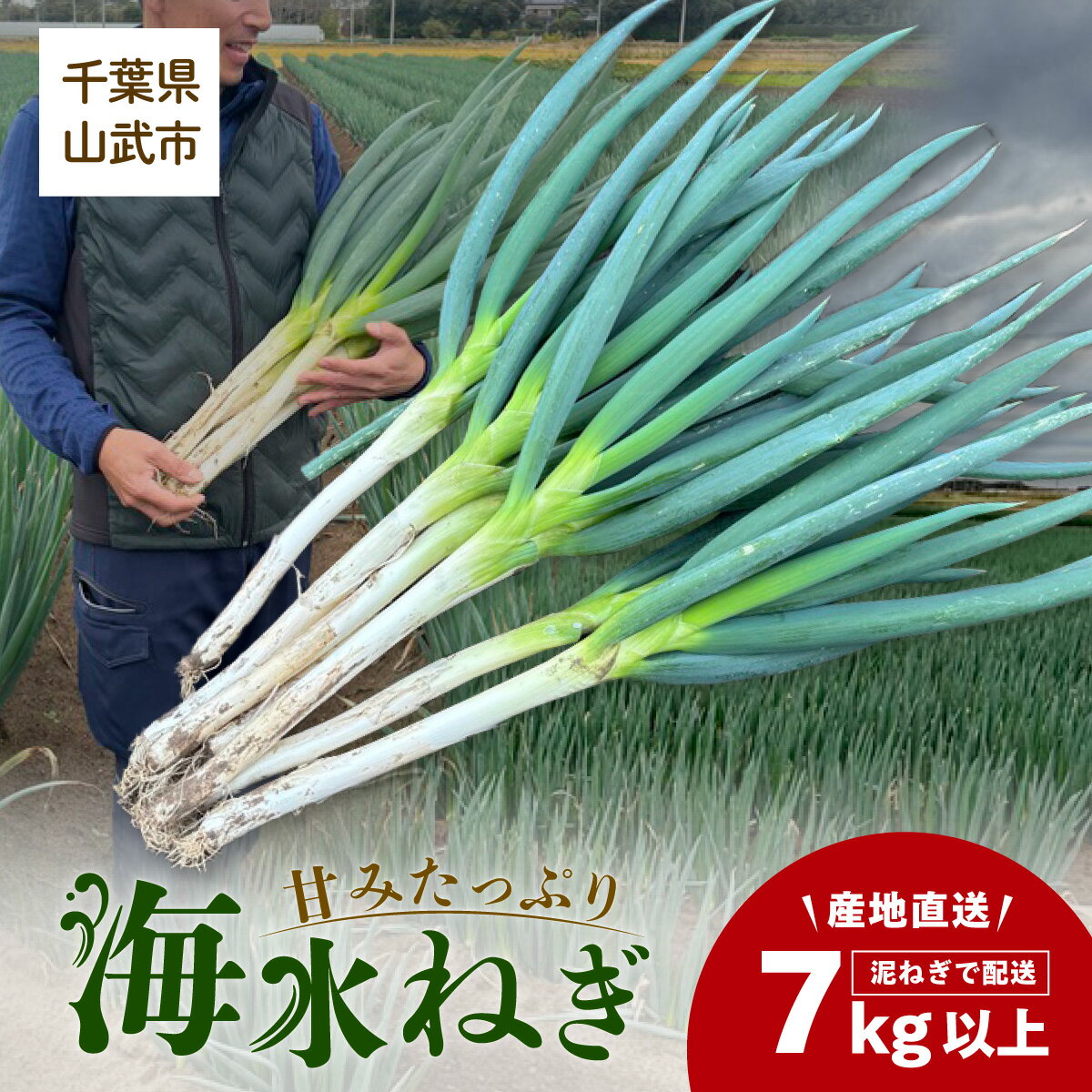 【ふるさと納税】【先行予約】【山武市限定栽培】泥ネギでドドンと配送！ミネラル豊富で甘みたっぷりの「海水ネギ」7kg以上 / 地元の道の駅オライはすぬまで大人気の農家から直送! 【発送期間：2026年12月から2027年2月】MCV002