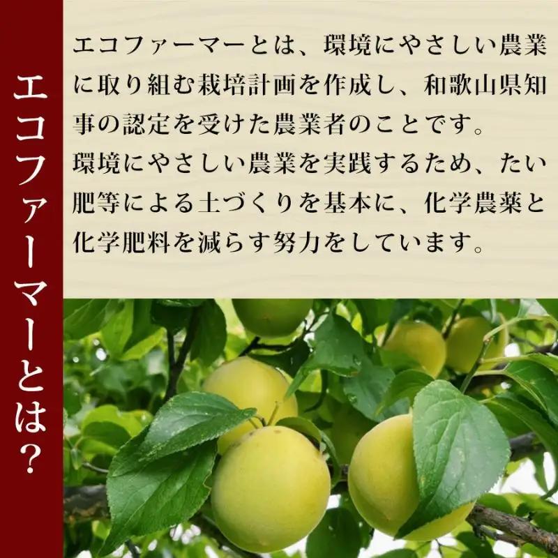 【7月より順次発送】昔ながらのすっぱい梅干 350g×2個 塩分 約18％ sakachu001A【sakachu001A】