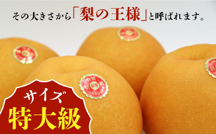 【2026年10月～発送】新高梨 約5kg 特大級 八木農園 / 南島原市 / 贅沢宝庫 [SDZ032]