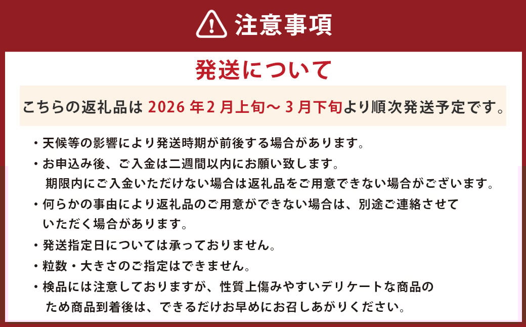 不知火（デコポンと同品種）【手選別まごころ選果】