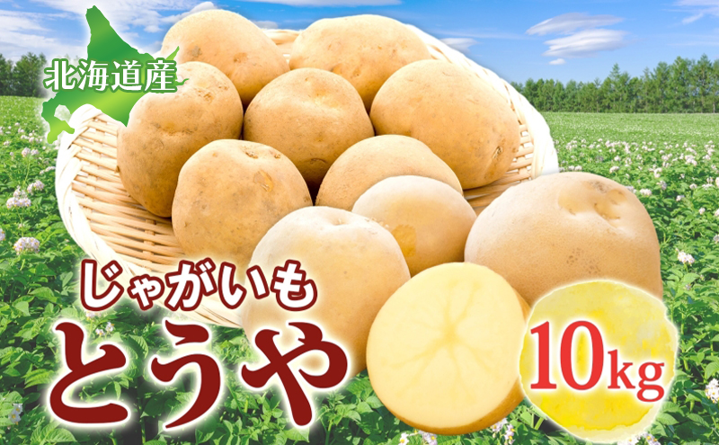 とうや 10kg 2025年9月上旬～12月中旬までお届け ジャガイモ 芋 甘い ホクホク なめらか ポテト カレー 調理 料理 煮込み料理 旬 野菜 お取り寄せ 北海道 洞爺湖町