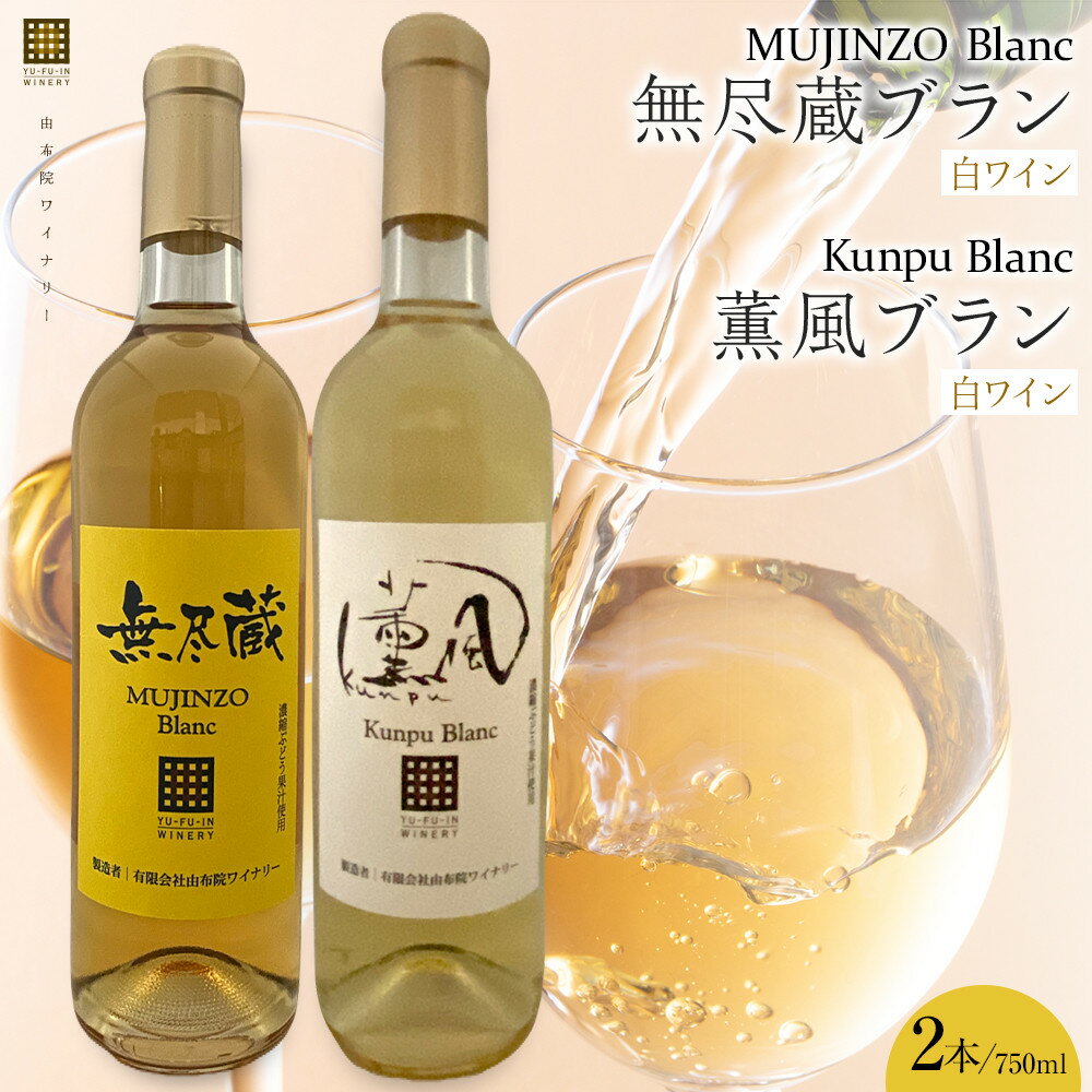 【ふるさと納税】無尽蔵ブラン・薫風ブラン 白ワイン 750ml×各1本 計2本＜由布院ワイナリー＞ | ワイン 赤ワイン 果実酒 酒 お酒 アルコール 瓶 なし ぶどう 葡萄 フルーツ 果物 ご当地 お土産 ギフト お取り寄せ 人気 おすすめ