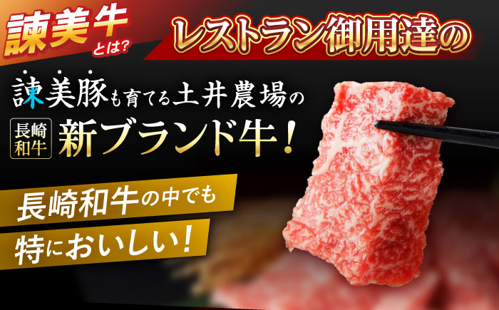 【特Aのブランド米で育てた】諫美牛 上カルビ 500g(250g×2) / 牛肉 ぎゅうにく 和牛 肉 焼肉 やきにく 国産 カルビ かるび / 諫早市 / 株式会社土井農場 [AHAD101]