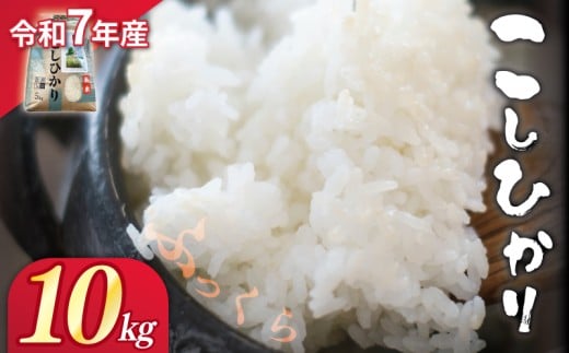 令和7年産 白米 精米 10kg コシヒカリ つげゆたか こしひかり つやつや ふっくら おいしい うま味 甘 甘い 産地直送 農家直送 お米 こめ ブランド 高級 米 お弁当 弁当 ご飯 おにぎり ごはん 白米 贈り物 贈答 都祁地産地消推進会 奈良県 奈良市