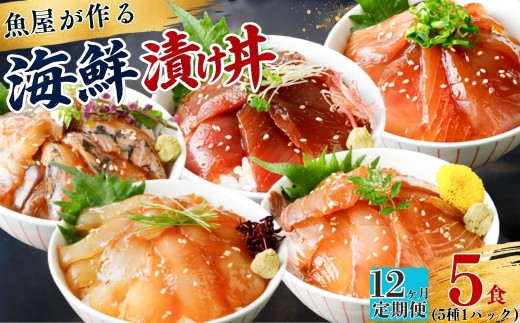 【12ヶ月 定期便】漬け丼 5種×1パック 計5食セット  | 漬け丼 定期便 海鮮 惣菜 冷凍 真空パック 小分け 海鮮丼 海鮮セット 詰め合わせ 旬の鮮魚 ハマチ カンパチ カツオ 鯖 サバ ヒラマサ 平政 マグロ アジ ヒラメ 鯛 漬け づけ丼 お茶漬け ごはん 山口県 宇部市