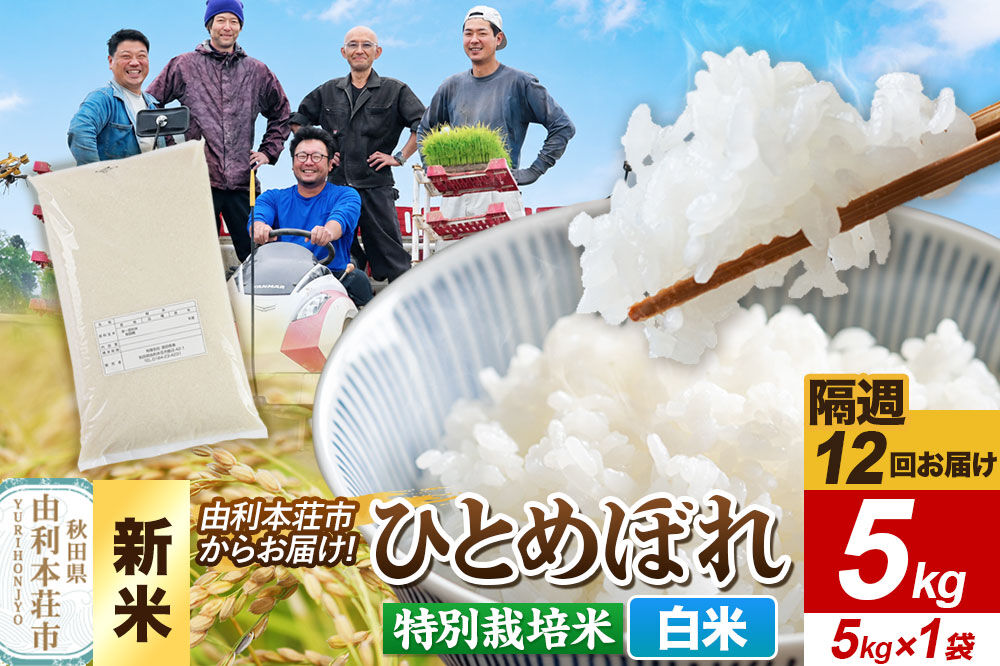 ＜令和8年産 新米＞《2週間毎お届け》【定期便12回】【白米】ひとめぼれ 5kg（5kg×1袋）特別栽培米 秋田県産 [ひとめぼれ 新米 米 お米 白米 精米 特別栽培米 ブランド米 食卓 おにぎり 