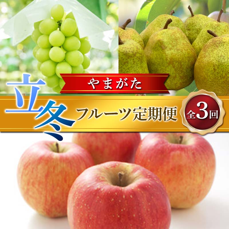 【ふるさと納税】≪2025年先行予約≫ 全3回やまがた 立冬フルーツ定期便 マスカット ぶどう ブドウ 葡萄 デザート フルーツ 果物 くだもの 果実 食品 山形県 FSY-1915