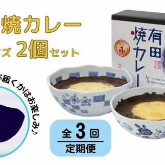 【3回定期便】有田焼カレー(大)【器いろいろ】2個セット JR九州駅弁グランプリ テレビ番組全国駅弁ランキング１位 F60-5