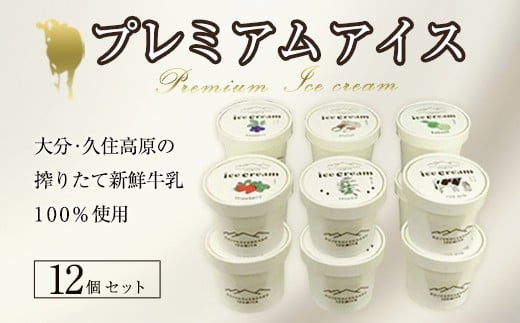 
            プレミアムアイスクリーム 12個入りセット（120ml×12個）
          