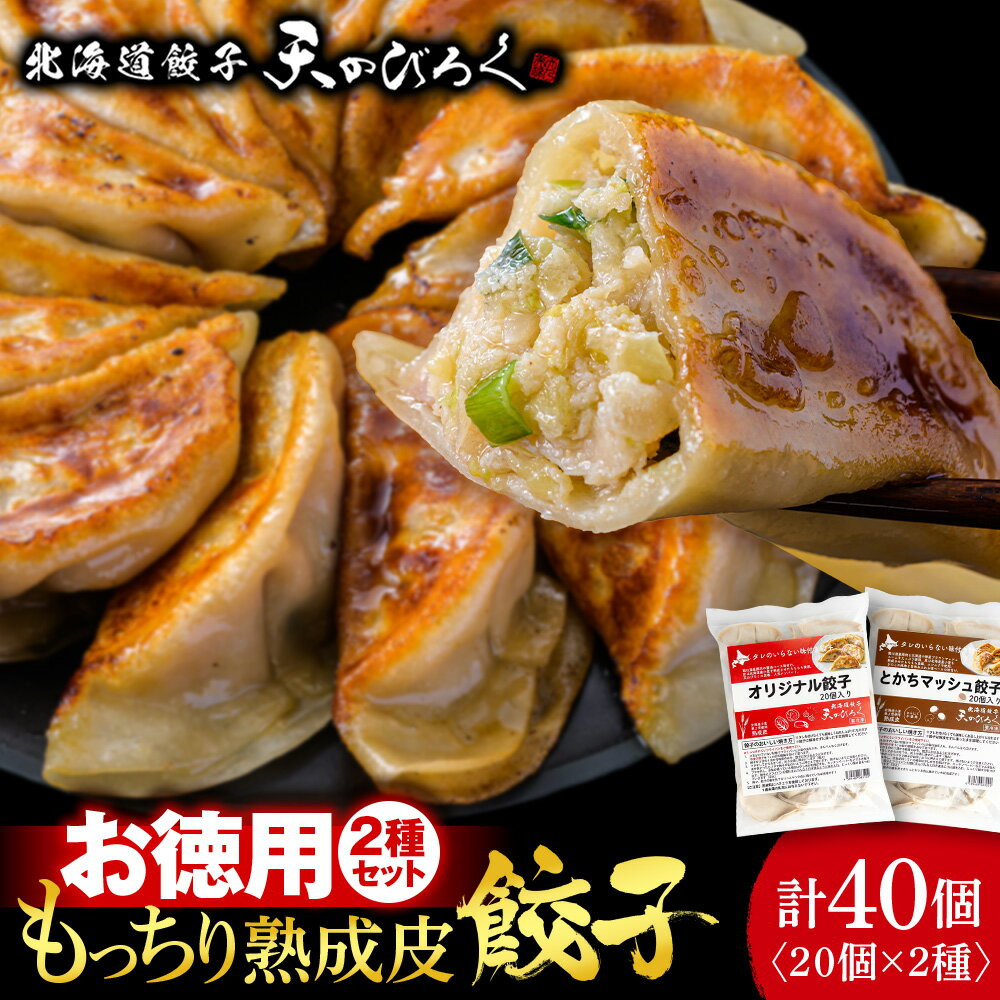 【ふるさと納税】 北海道餃子天のびろく 餃子 お徳用2種セット（20個入） 徳用 冷凍 北海道 千歳 食べ比べ 加工品 惣菜 冷凍 ぎょうざ ギョーザ 【北海道千歳市】ギフト ふるさと納税