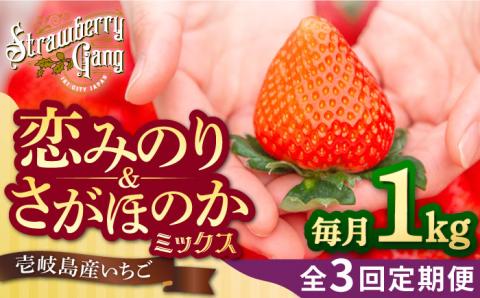 【全3回定期便】《2月3月4月お届け》壱岐島産いちご1kg （250g×4パック）恋みのり・さがほのかミックス [JEM002]