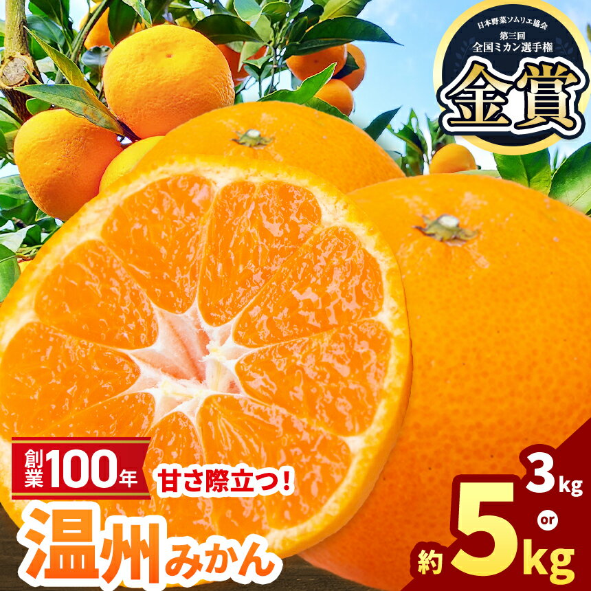 【ふるさと納税】選べる容量 創業100年 甘さ際立つ！熊本温州みかん 約 3kg or 5kg | 熊本県 熊本 くまもと 和水町 なごみまち なごみ 柑橘 柑橘類 ミカン ミカン みかん 温州ミカン 温州みかん