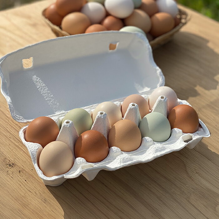 【ふるさと納税】鶏とわたしの平飼い玉子 30個(10個入り×3パック) たまご 卵 卵焼き 生卵 ゆで卵 卵かけごはん 鶏卵 鶏 平飼い 【鶏とわたし】tm545