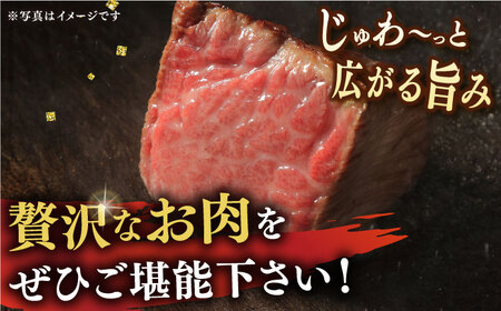 長崎和牛 A5 サーロイン ステーキ 2枚 計400g 【焼肉おがわ】[DBJ001]/ 長崎 小値賀 牛 牛肉 黒毛和牛 焼肉 等級  サーロインステーキ 長崎和牛サーロインステーキ こだわりサーロ