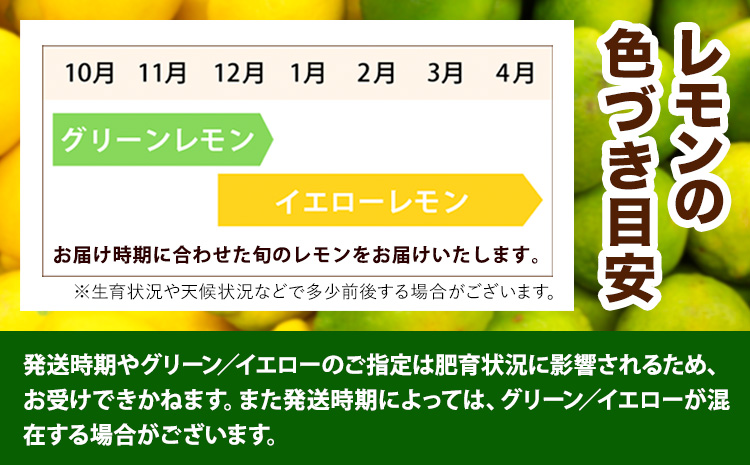 f生産者応援企画!訳あり 国産レモン 約4kg 《10月上旬-1月下旬頃出荷》産地直送 レモン 檸檬 グリーンレモン イエローレモン 防腐剤不使用 果物 フルーツ(f-1)