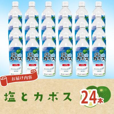 ふるさと納税 佐伯市 塩とカボス(24本) |  | 01