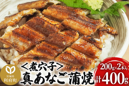真あなご蒲焼 煮穴子 400g