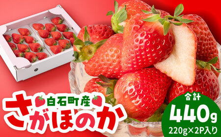 先行予約 2027年1月～発送 白石産いちご「さがほのか」 220g×2パック 【岸川農園】[IAP048]