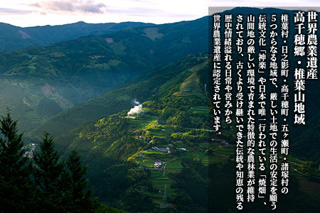 【雑穀米】藤の花色に染まる美しい六穀米《藤六穀》300g×1袋【世界農業遺産 高千穂郷・椎葉山地域】 [TT-6]