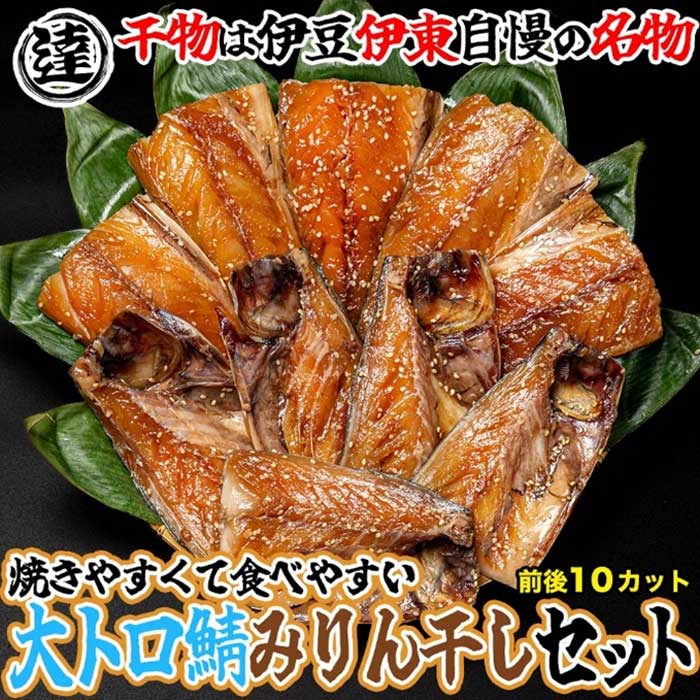 【ふるさと納税】伊豆・伊東 丸達水産 人気No.1 さばみりん 10切セット 食べやすいハーフカット