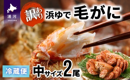 
                  【期間限定★訳あり品★】漁協の浜ゆで毛がに 中サイズ２尾セット※日付指定対応不可※[02-1072]
                