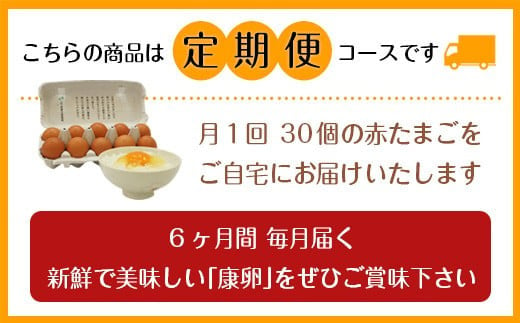 【6ヶ月定期便】霧島山麓育ち こだわり卵『康卵』 30個入り×6回 合計180個