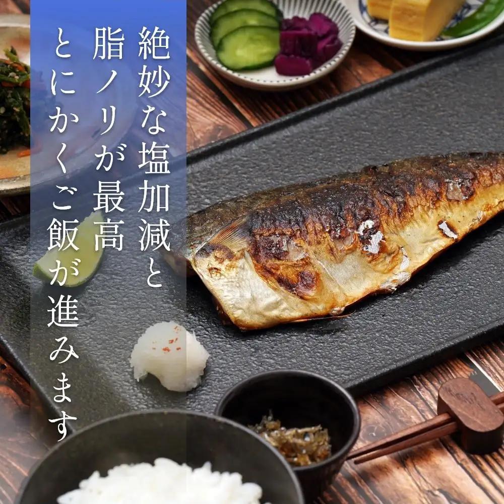 鯖フィレ 塩さばフィレ８枚入(真空パック入)　冷凍 さば