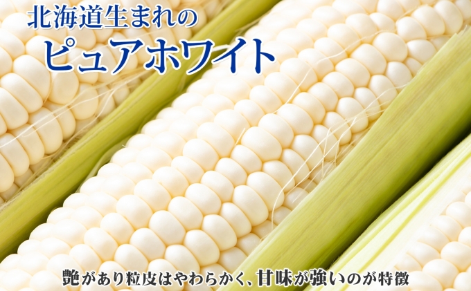 北海道産 旬の有機栽培野菜 ピュアホワイト 10本 3kg以上 とうもろこし 白 有機栽培 オーガニック 有機野菜 有機jas認証 西洋野菜 コーン 新鮮 お取り寄せ 送料無料 ニセコ