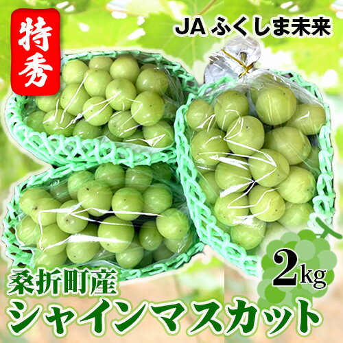 【ふるさと納税】No.172 【令和7年9月頃発送】ぶどう（シャインマスカット）特秀2kg　桑折町産　JAふくしま未来　葡萄 ／ ブドウ 果物 フルーツ 送料無料 福島県 特産品
