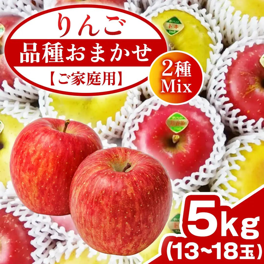 【ご家庭用】りんご 品種おまかせ 2種Mix 5kg（13～18玉）  (FH002)