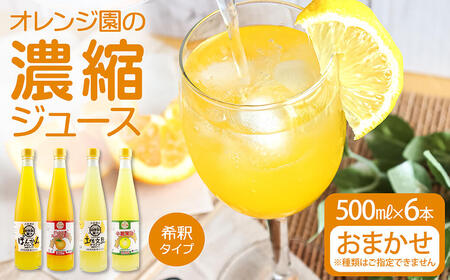 オレンジ園の濃縮ジュース 500ml おまかせ6本入り 希釈用 【R01122】