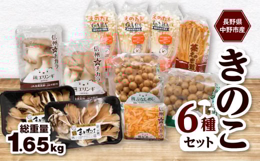 JA中野市産地直送!6種11パック入りきのこセット＜中野市特産きのこセットできのこ食を習慣に＞_ きのこ キノコ セット 詰合せ 食べ比べ 長野県産 国産 えのき しめじ エリンギ 舞茸 なめこ まいたけ 産地直送 【1487473】