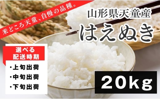 07-01-170-12A はえぬき20kg(5kg×4袋)【2025年12月上旬発送・令和7年産】