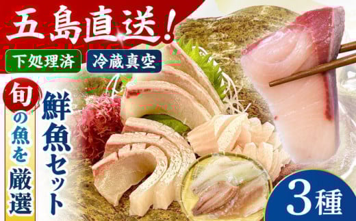 【冷蔵】【下処理済】鮮魚ボックス3種 五島市/金沢鮮魚[PEP007] 鮮魚 冷蔵 真空パック 新鮮 下処理済み 海鮮 刺身 お刺し身 お刺身 おさしみ セット 魚 魚介 魚介類 金澤仕立て  鮮魚 冷蔵 真空パック 新鮮 下処理済み 海鮮 刺身 セット