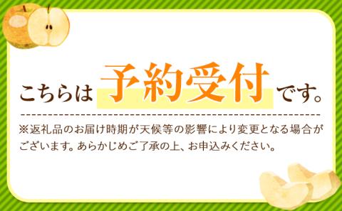 梨 訳あり くまもと梨 約4.5kg-5kg 幸水 豊水 新高 先行予約  5玉～15玉前後  ≪8月下旬‐11月中旬頃出荷≫---fn_cngsnasir_h811_24_12000_5kg---