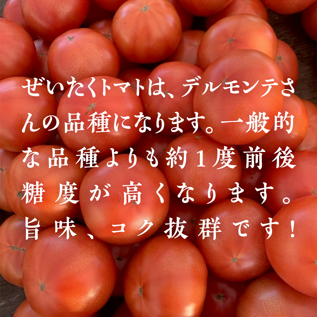 ぜいたくトマト！ 約2kg × 2 合計 約4kg ( 18～24個 ) トマト 大