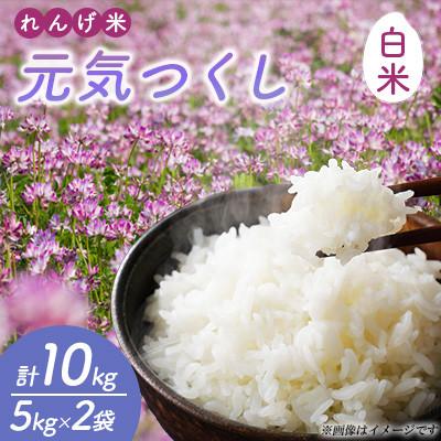 ふるさと納税 嘉麻市 【令和7年産】れんげ米 元気つくし(白米) 計10kg(5kg×2袋)〜はたなかFarm〜